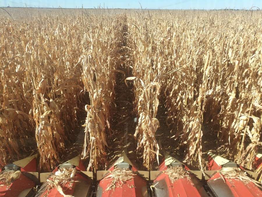 Commercial Property for Sale in Bloemfontein Rural Free State